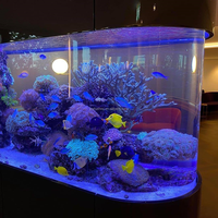 Panneaux acryliques d'aquarium personnalisés-Grandes feuilles ultra-épaisses pour les constructions d'aquarium de qualité professionnelle