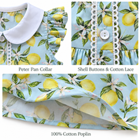 Dress Anak Perempuan Katun Musim Panas Motif Lemon Kerah Peter Pan Lengan Ruffle OEM ODM Grosir
字符约：110