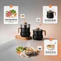 Elektrischer Hotpot Multifunktionaler Trennbarer Kocher mit Glasdeckel für Haushalt, Hotel, Wohnmobil und Outdoor-Nutzung