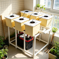 Système hydroponique complet à recirculation en seaux hollandais, kit de seaux Bato, seaux en plastique, pompe à eau, culture hors-sol en intérieur