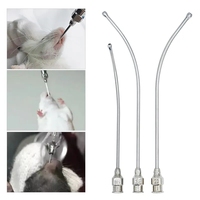 Aiguille d'alimentation animale réutilisable vétérinaire Pet Bird Drench Canule Rats Souris Gavage oral