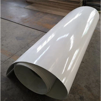 Paneles de Pared Planos Blancos de FRP, Paneles Decorativos para Paredes y Techos