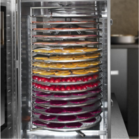 16-laags draaibaar voedseldroogapparaat model ST-02-H 110L grote capaciteit voor middelgrote productie van gedroogd fruit en groenten