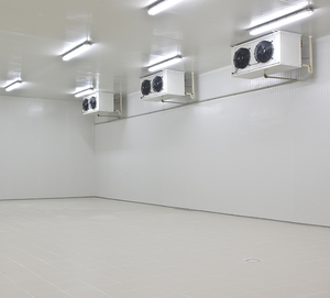 Chambre froide conteneurisée EMTH Copeland -18 degrés avec dégivrage automatique, panneaux PU/PIR, chambre de stockage - Product Image 6