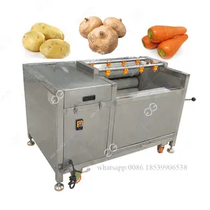 Guangzhou Légume Gingembre Carotte Machine à Éplucher Brosse Pomme Manioc Machine de Nettoyage