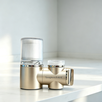 Purificateur d'eau portable pour robinet domestique en plastique, filtre céramique à charbon actif 7 niveaux, élimination du chlore et des bactéries