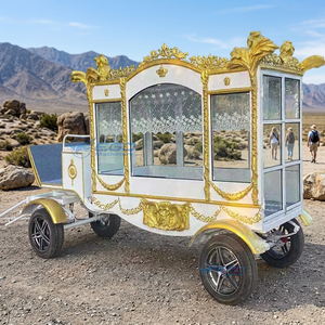 Nouvelle Limousine Funéraire Classique 2026 – Magnifique Voiture Funéraire Moderne de Luxe avec Remorque – Vente Chaude - Product Image 1