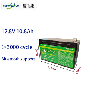 진동 저항 <span class=keywords><strong>12V</strong></span> 12.8V 24V LiFePO4 배터리 팩 리튬 솔루션 퍼스널 모빌리티 스쿠터 및 운송 장치 - Product Image 2