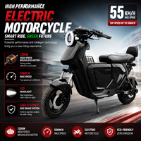 Moto tout-terrain électrique pour adultes 1200W 60V, moteur de moyeu étanche longue portée de 10 pouces, 40-60 km/h