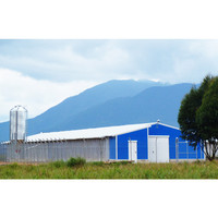 Naves Avícolas Industriales Prefabricadas de Acero / Granjas de Pollos de Engorde / Casas Avícolas Rápidas para Negocios de Cría de Aves