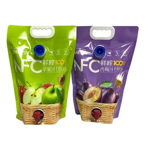 Custom 1L 2L 3L 5L Bag In Box Wine Juice Coffee Stand Up Pouches With Valve Plastic Spout Packaging Bags For Liquid Products