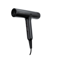 Sèche-cheveux professionnel à moteur sans balais ionique - 110 000 tr/min, haute vitesse, léger et silencieux pour usage hôtelier et domestique