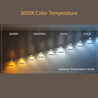 Éclairage Gemstone DC12V 30mm IP67 RGBW, lumières extérieures permanentes avec rail pour décoration de Noël