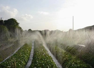 Prezzo di fabbrica tubo dell'acqua Layflat tubo di irrigazione agricolo - Product Image 6