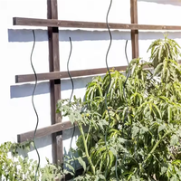 Obélisque en métal en spirale pour plantes grimpantes, treillis de soutien pour vignes en pot, roses, balcon, jardin, emballage personnalisé en boîte