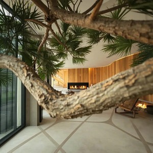 Tùy chỉnh trong nhà cảnh quan ngoài trời dự án thân cây lớn cây nhân tạo cây thông già, cây liễu giả cây phong giả - Product Image 5