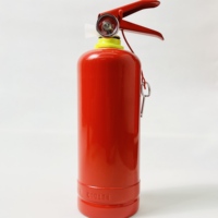 Extincteur portable ISO9001 EN3-8 1KG 2KG 6KG 20%/40% ABC DCP, petit cylindre d'extincteur, équipement incendie, fournisseur d'extincteurs pour voiture