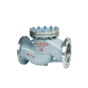 Kamroo Pn16 Cast Steel Flange Soft Seat Resilient Seated Flapper Rubber Disc Swing Type Check Valve