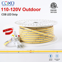 Bande lumineuse LED extérieure ETL 120V AC110-120V en silicone solide, sans driver, Plug & Play, résistante aux intempéries, 12W 15W, rouleau de 30M, COB R90