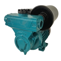 120W Démarrage Électrique Boîtier En Aluminium Bobine De Cuivre 220V Pompe À Eau Haute Pression 25M Auto Irrigation 15mm Pompe De Sortie