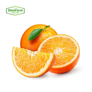 2022 New Crop Hot Selling Frisches Obst Orange Nabel Valencia Orange Frische Orange im Großhandels preis