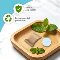 Nettoyant puissant pour broyeur de déchets, OEM ODM, écologique, antibactérien, éliminateur instantané d'odeurs, désodorisant de drain, pour usage en cuisine