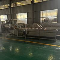 RVS luchtbellenwasmachine voor voedselverwerking, groente- en fruitreiniging