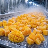 Graad A Halal IQF Diepvries Mango Blokjes Groothandel |   100% natuurlijke verse gesneden mangoblokjes 10x10mm voor smoothies & bakkerij