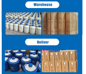 भंडारण और परिवहन yds 2/6/15/20/30/35 कंटेनर 10 लीटर नाइट्रोजन dewer तरल नाइट्रोजन वीर्य टैंक - Product Image 5