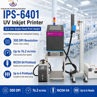 Impresora Industrial de Inyección de Tinta UV IPS-6401, 300 DPI, Impresora RICOH G4 PIJ para Impresión en Plástico, Metal, Papel y Etiquetas