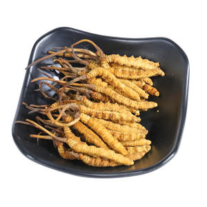 Чистый натуральный Тибетский Кордицепс милитари, китайское лекарственное растение, кордицепс, гриб Кордицепс - Product Image 2