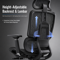 Chaise de bureau ergonomique à dossier haut en maille avec support lombaire, appui-tête, repose-pieds, chaises pivotantes pour ordinateur, bureau à domicile