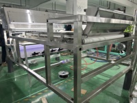 Optische bevroren frambozen kleursorteermachine voor bevroren fruit kleursorteermachine van WENYAO China