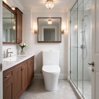 WC en céramique à siphon jet deux pièces avec abattant à fermeture douce, siphon en S 300 mm, équipement sanitaire pour salle de bain