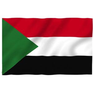 Wholesale Palestinian <b>Flags</b> for Events Digital Printing High Visibility Banners - Product Image 3
