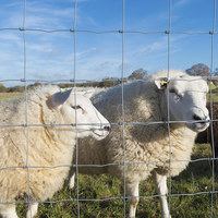 Clôture de champ anti-prédateurs de haute qualité en fil d'acier galvanisé, clôture tissée pour bétail, équipement agricole, clôture pour vaches