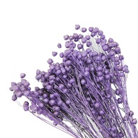 Fleurs séchées colorées en gros, fleurs immortelles de Jequirity, Abrus Precatorius pour Noël, le Nouvel An chinois et Pâques