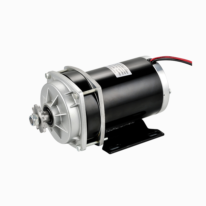 ZY1020ZXF 800W 36V DC Brush Gear Motor for Electric Tricycles