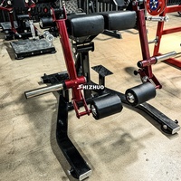 Machine d'extension hyper inversée réglable pour salle de sport Shizhuo, construction en acier de qualité professionnelle, équipement de fitness