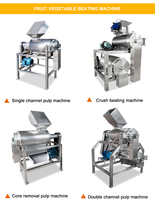 Enkel/Dubbel Kanaal Mango Abrikoos Tomaat Kiwi Sap Pulp Fruit Pulp Extractor Machine Mango Pulp Maken Machine