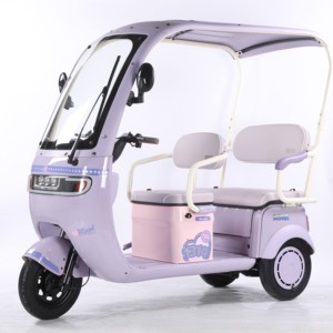 3 <b>Wheel</b> 60V 3 Speed Scooter Tricycle for 2 Adults Passenger Seat Home Roof - Product Image 3