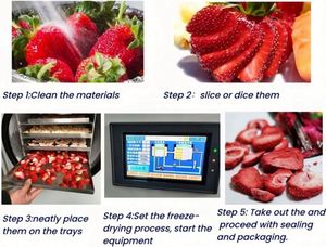 Máquina de Secado por Congelación Eléctrica de Gran Capacidad de 20 KG para Uso Doméstico, Alimentos y Frutas Deshidratadas con Bomba de Vacío, para Uso Agrícola - Product Image 5