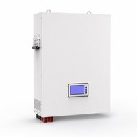 Batterie LiFePO4 murale 25,6 V 100 Ah pour stockage d'énergie solaire domestique, système solaire hors réseau, batterie lithium-ion
