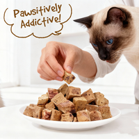 Nourriture pour animaux de compagnie lyophilisée riche en protéines de qualité supérieure Friandises pour chats lyophilisées