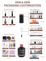 Vernis à ongles en gel OEM DZ en bouteille, vernis liquide semi-permanent UV/LED, tout pour la manucure, fournitures pour ongles, vente en gros