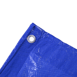 Telo in Plastica Blu Impermeabile in Polietilene PE a Prezzo Conveniente per Coperture Esterne - Product Image 6