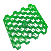 Grille de pavage en HDPE anti-âge pour parking extérieur