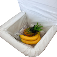Doublure de boîte isotherme classique en mousse PU résistante à l'eau, antichoc thermique pour la chaîne du froid, expédition de produits pharmaceutiques et alimentaires
