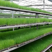 Équipement de tour d'agriculture verticale à portée unique de petite taille avec matériau PE dans un système hydroponique intérieur pour les serres agricoles