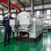 Industriële handgestookte biomassa stoomketel voor handmatige invoer, 4-10 ton, voor grote voedselverwerkings- en fruitdrooglijnen